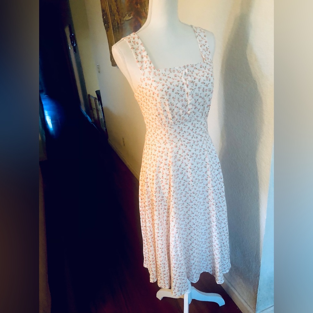 Belle Poque Floral Fit and Flare 50s style Dress